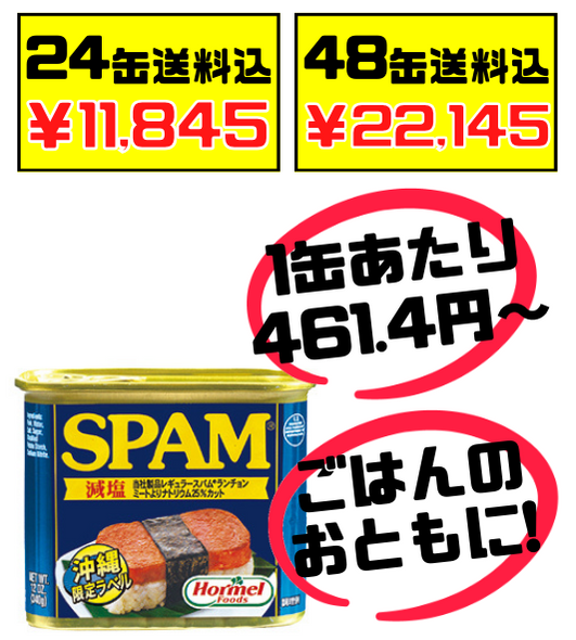 スパム レギュラー 340g 48缶 – うちなーむん ミヤギミート(価格は