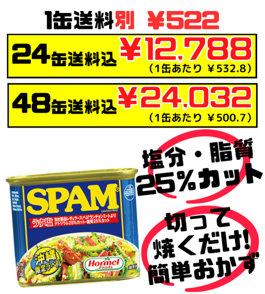 スパム うす塩 340g 沖縄ホーメル Hormel SPAM　レギュラータイプから塩分・脂肪分を25％カット セット商品はすべて送料込