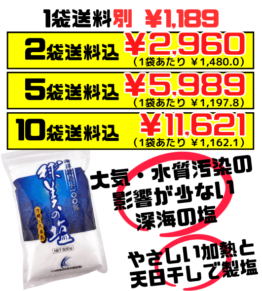 球美の塩 くみのしお 500g 2袋で送料込 久米島海洋深層水開発