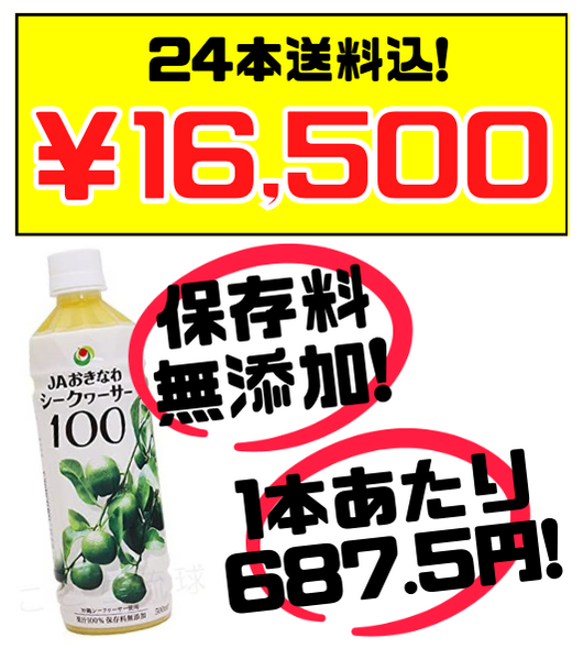 税・送料込！JAおきなわ シークヮーサー100 500ml × 24本 保存料無添加