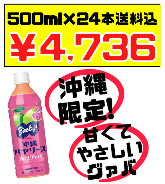 税・送料込！南国グァバ 500ml × 24本 沖縄バヤリース 沖縄限定 グァバ