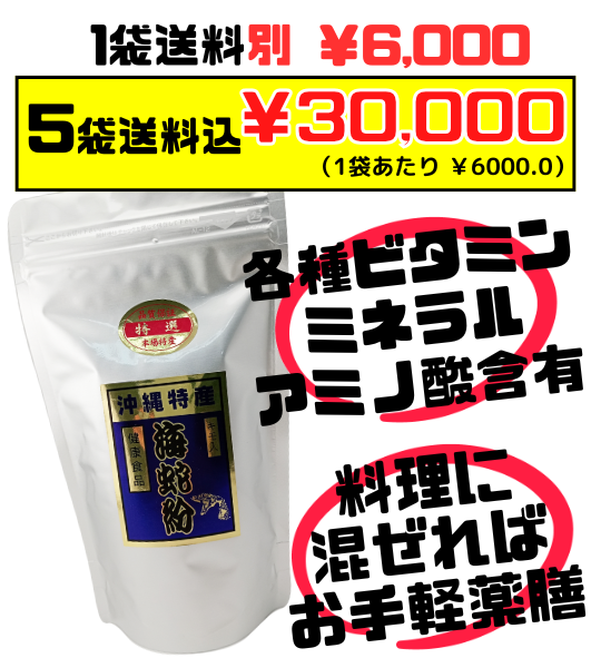 【イラブ粉 100g スタンドパック】5袋で送料込 上商企画 沖縄のいらぶ（海蛇）を使った栄養補助食品 キモ入り 食べやすい天然のサプリ