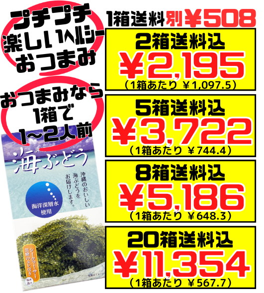 海ぶどう 40g（60g相当） シークヮーサー黒糖のたれ付 サングリーンフレッシュ 価格と商品紹介