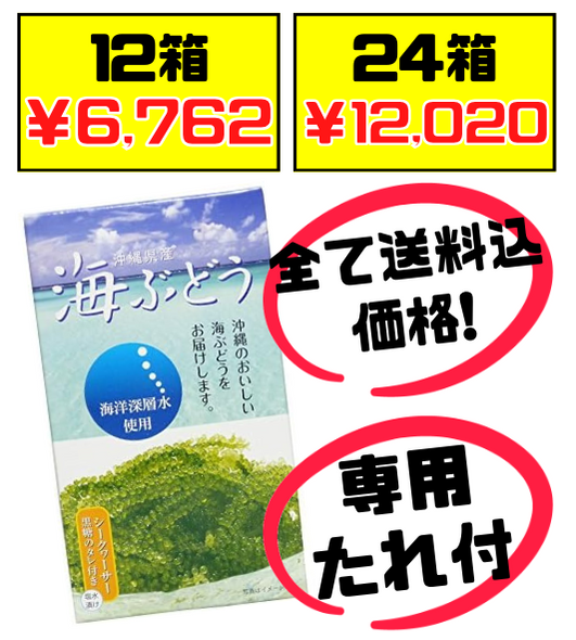 海ぶどう 60g サングリーンフレッシュ 沖縄県産 価格と商品紹介