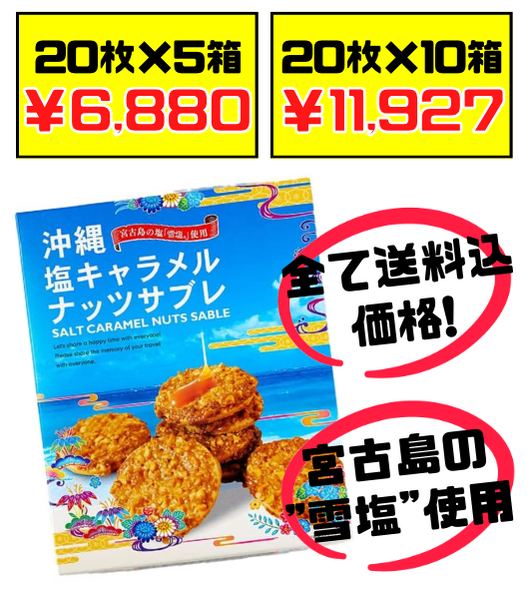 沖縄 塩キャラメルナッツサブレ(大・20枚入) 南風堂 価格と商品紹介