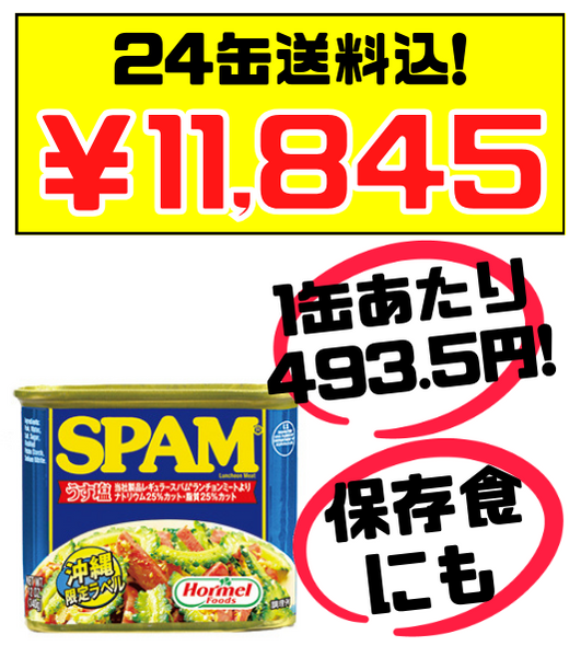 スパム うす塩 340g 24缶 沖縄ホーメル Hormel SPAM 価格と商品紹介