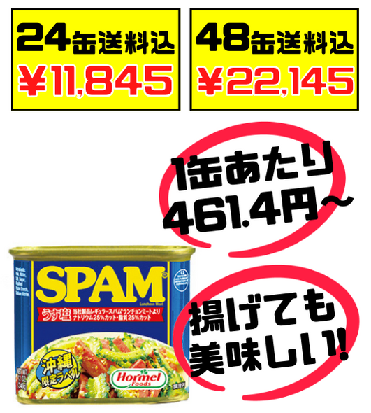 スパム うす塩 340g 48缶 沖縄ホーメル Hormel SPAM 価格と商品紹介