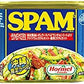 スパム うす塩 340g 48缶 沖縄ホーメル Hormel SPAM 商品画像