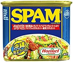 スパム うす塩 340g 48缶 沖縄ホーメル Hormel SPAM 商品画像