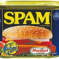 スパム レギュラー 340g 48缶 沖縄ホーメル Hormel SPAM 商品画像