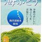 海ぶどう 60g サングリーンフレッシュ 沖縄県産 商品画像