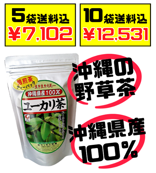 ユーカリ茶 ティーパック 2g × 20包入 うっちん沖縄 価格と商品紹介