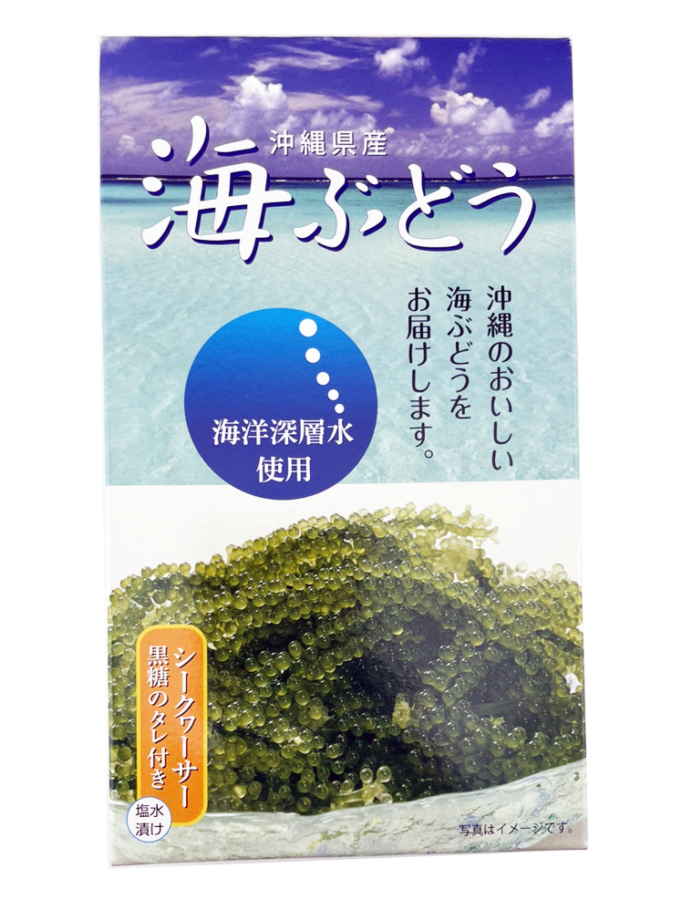 海ぶどう 40g（60g相当） シークヮーサー黒糖のたれ付 サングリーンフレッシュ 商品画像（正面）