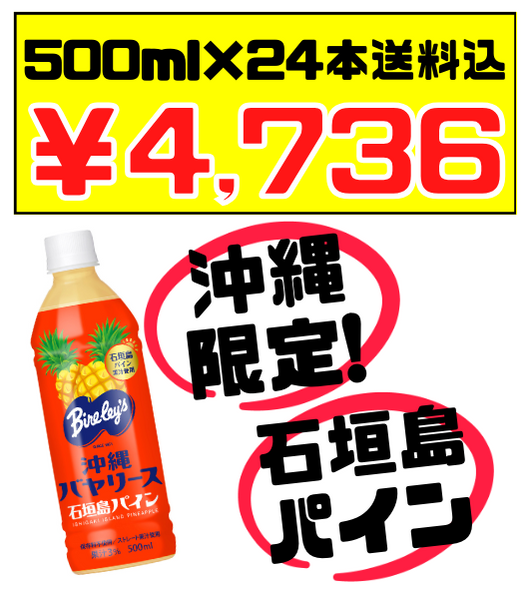 石垣島パイン 500ml × 24本 沖縄バヤリース 価格と商品紹介