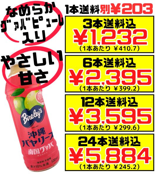 南国グァバ 500ml 沖縄バヤリース 価格と商品紹介
