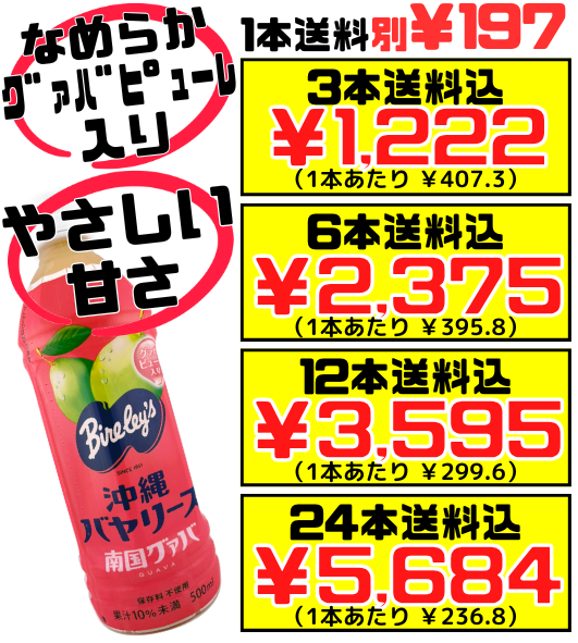 南国グァバ 500ml 沖縄バヤリース 価格と商品紹介