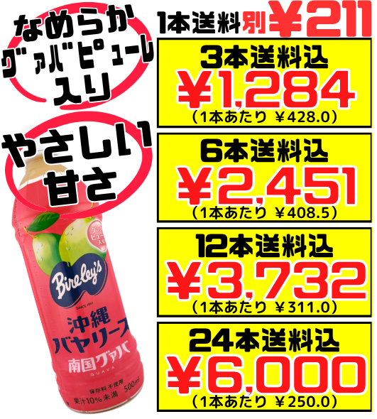 南国グァバ 500ml 沖縄バヤリース 価格と商品紹介