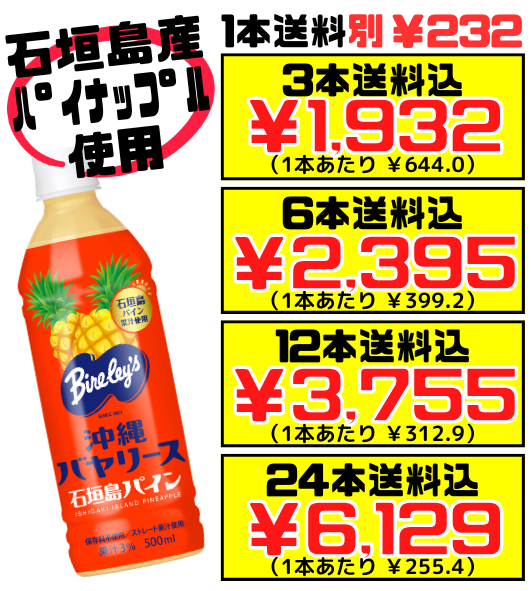 石垣島パイン 500ml 沖縄バヤリース 価格と商品紹介