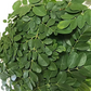 モリンガパウダー（粉末） 100％沖縄県産 50g モリンガの葉